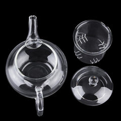 Durable Transparent Teapot